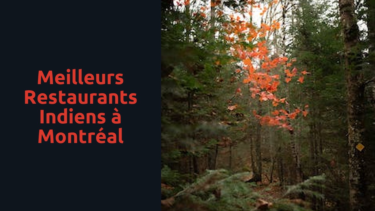 Meilleurs restaurants indiens à Montréal