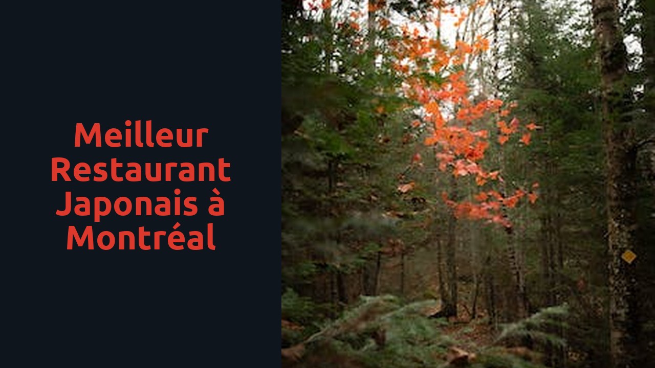 Meilleur restaurant japonais à Montréal