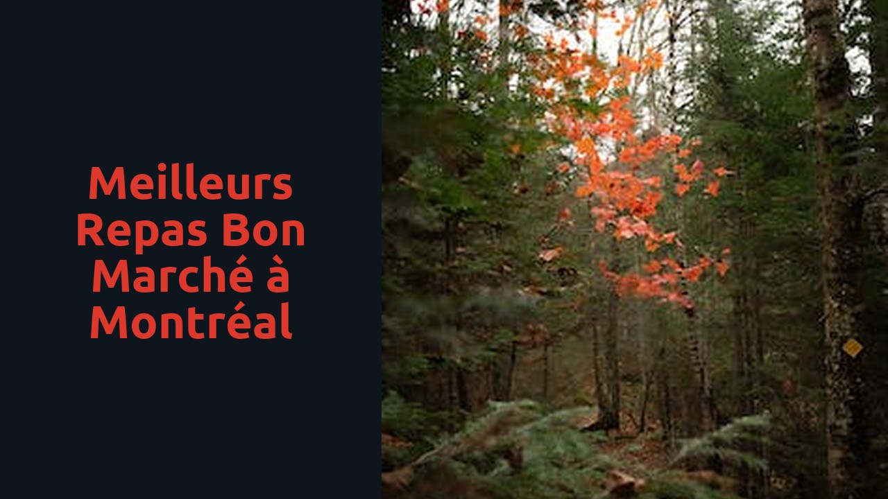 Meilleurs repas bon marché à Montréal